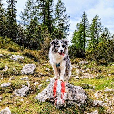 Trailrun mit Luzi