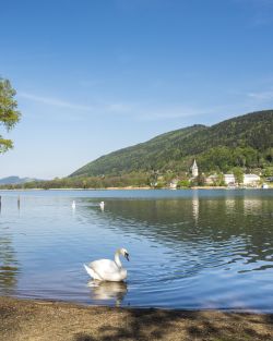 Der Ossiachersee im Frühling