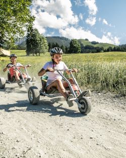 Mountaincart in St. Johann in Tirol
