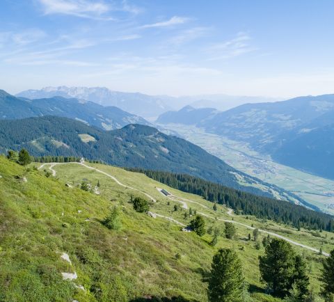 Pendant vos vacances d'été dans la vallée de Zillertal, vous devriez emprunter au moins une fois la célèbre route de haute altitude et profiter des vues imprenables.