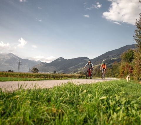 Cyklostezka vede celým údolím Zillertal podél železničních tratí, kolem Kaltenbachu, Mayerhofenu a mnoha dalších míst.