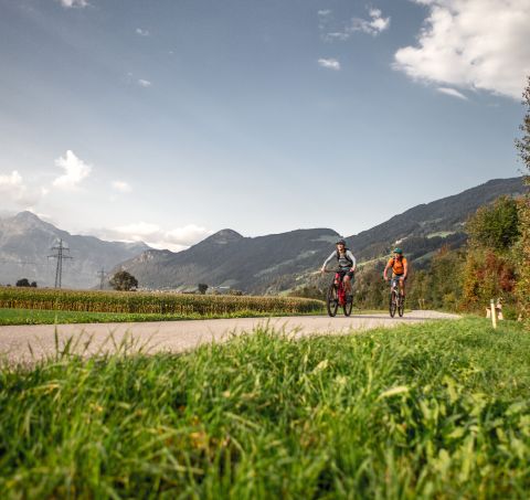 Cyklostezka vede celým údolím Zillertal podél železničních tratí, kolem Kaltenbachu, Mayerhofenu a mnoha dalších míst.