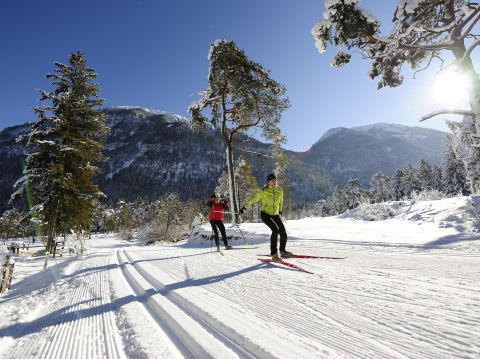 Garmisch staat ook bekend om de wintersport. Hier kun je niet alleen skiën of snowboarden, maar ook langlaufen tegen een fantastisch bergdecor.