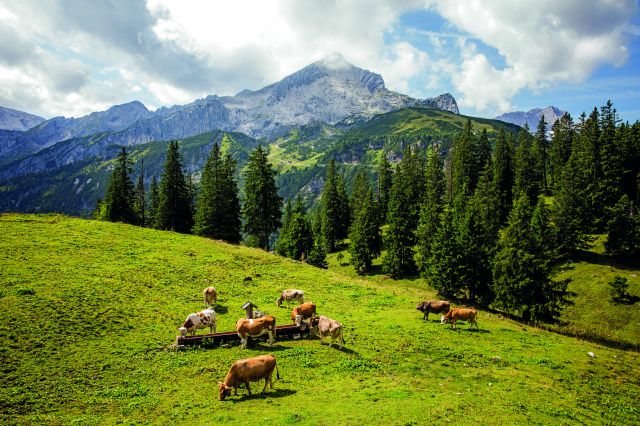 Eine Wanderung in der Zugspitzregion Garmisch ist ein wahres Highlight. Gerade die Kreuzalm lädt zu einer Wanderung nähe der Alpsitze ein.