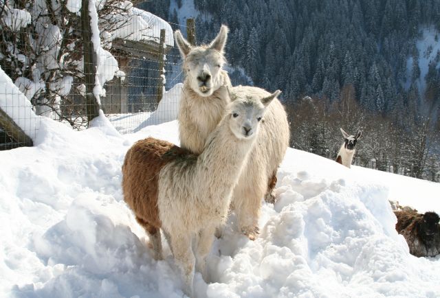 Zima v přírodním parku Aurach