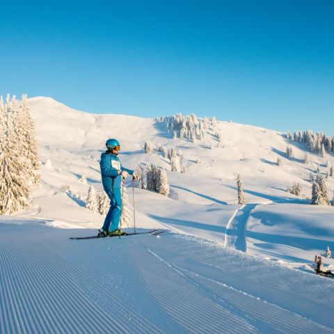 1083346 Skifahren im Skigebiet Grasgehren