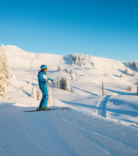 1083346 Sciare nel comprensorio sciistico di Grasgehren