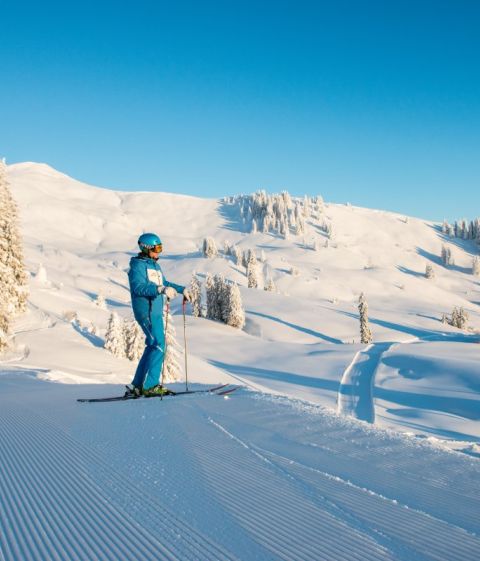 1083346 Ski dans le domaine skiable de Grasgehren