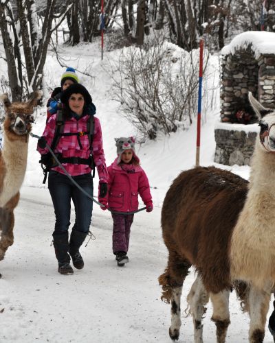 Lama Trekking Lamaland Winter