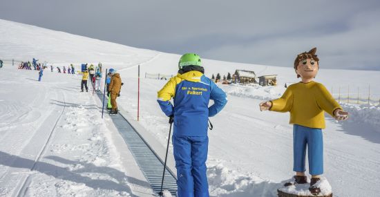 Skigebiet Heidi Alm