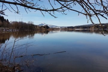 Grüntensee Winter