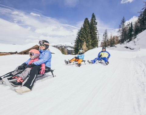 Tobogganing in Gerlosstein Zillertal Arena