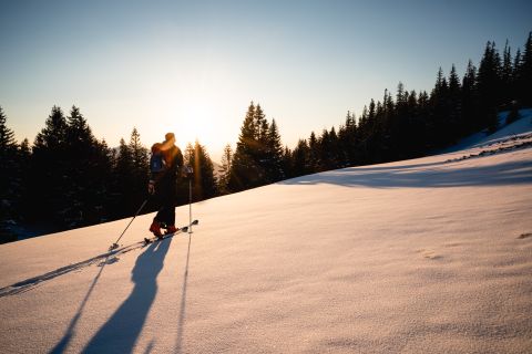 Skitour-Alpspitze in Nesselwang