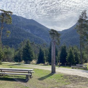 Föhrenheide direkt hinter dem Hotel