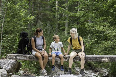 Wandern+zum+Steyrursprung (1)