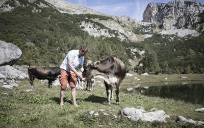 Wurzeralm Brunnsteinersee (3)