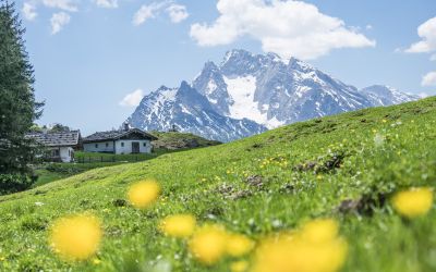 Frühling in Berchtesgaden: wenn alles sprießt sind rund um den Königssee bereits viele Wanderungen möglich.