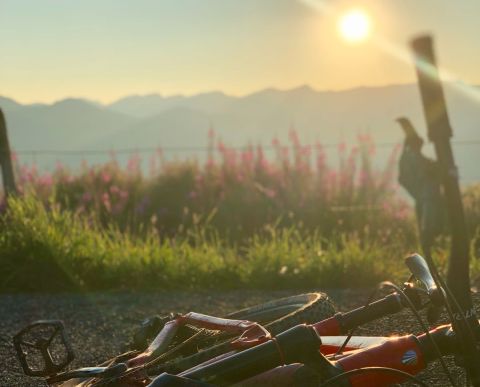 Balade à vélo en soirée jusqu'à l'Altstädter Hof