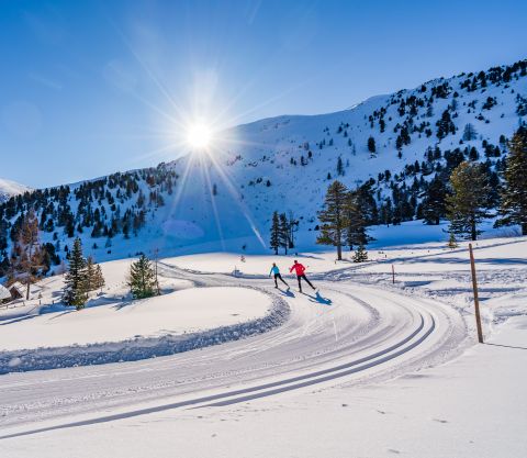 Sentiero TH Weitental (c) P. Maier