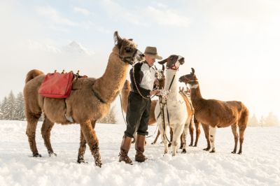 Idee für den Familienurlaub im Montafon im Sommer und Winter. Aber auch für Erwachsene ist Lama Trekking ein echtes Highlight. Unbedingt ausprobieren.