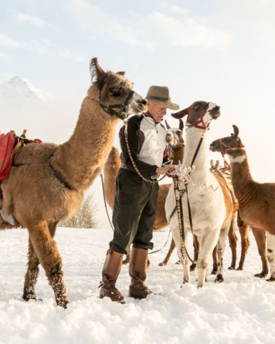 Lamatrekking im Winter im Montafon Idee für den Familienurlaub im Montafon im Sommer und Winter. Aber auch für Erwachsene ist Lama Trekking ein echtes Highlight. Unbedingt ausprobieren.