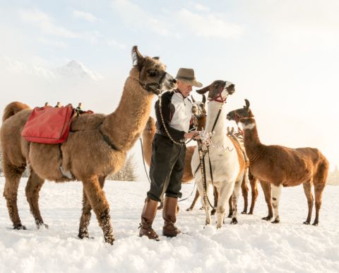 Une excellente idée pour des vacances en famille à Montafon, été comme hiver. Les randonnées avec des lamas sont également un incontournable pour les adultes. À faire absolument !