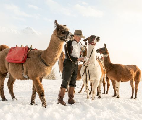 Een geweldig idee voor een familievakantie in Montafon in de zomer en winter. Maar ook voor volwassenen is een lamatrekking een echt hoogtepunt. Zeker de moeite waard.