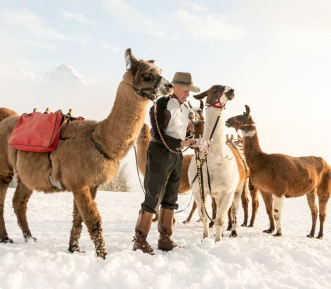 A great idea for a family vacation in the Montafon region in summer and winter. But llama trekking is also a real highlight for adults. Definitely worth trying.