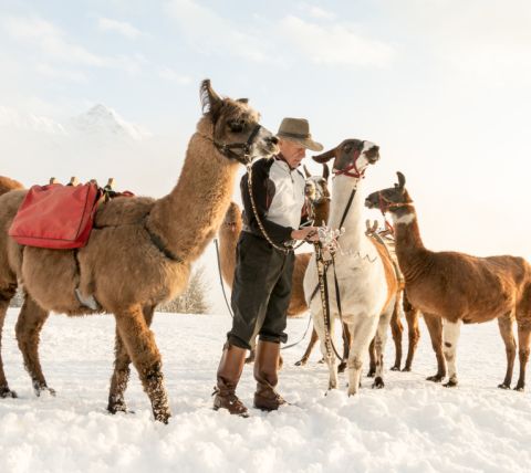 Skvělý nápad pro rodinnou dovolenou v regionu Montafon v létě i v zimě. Ale turistika s lamami je skutečným vrcholem i pro dospělé. Rozhodně stojí za vyzkoušení.