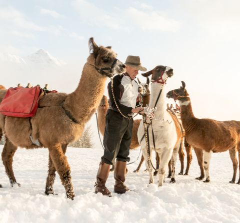 Un'ottima idea per una vacanza in famiglia nel Montafon, sia in estate che in inverno. Ma il trekking con i lama è un'esperienza davvero speciale anche per gli adulti. Vale sicuramente la pena provarlo.