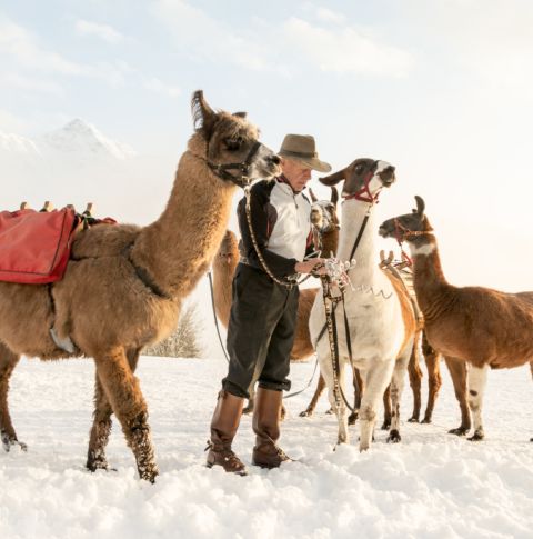 Świetny pomysł na rodzinne wakacje w regionie Montafon latem i zimą. Ale trekking z lamami to również prawdziwa atrakcja dla dorosłych. Zdecydowanie warto spróbować.
