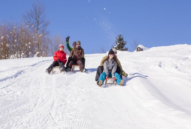 Tobogganing fun with colleagues