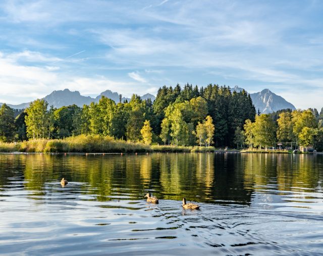 Tájkép Természet Víz Panoráma Schwarzsee Ősz Érzelem (c) Kitzbühel Turizmus (6)