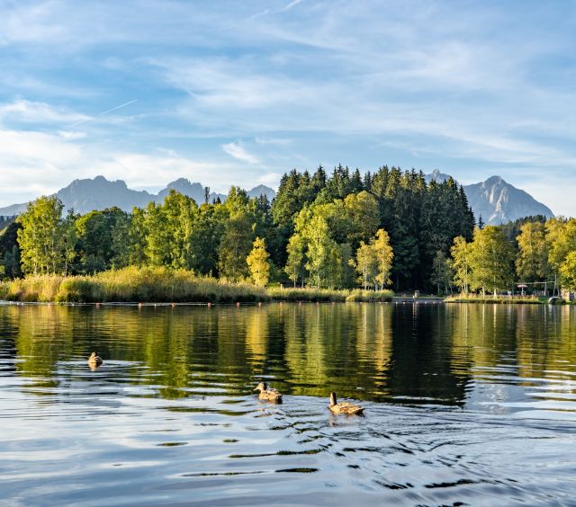 Krajina Příroda Voda Panorama Schwarzsee Podzimní emoce (c) Kitzbühelská turistika (6)