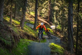 Flow-Country-Trail durch den Wald in Bad Kleinkirchheim