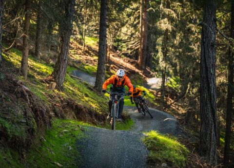 Flow-Country-Trail durch den Wald in Bad Kleinkirchheim