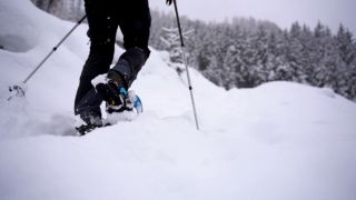 Video Schneeschuhwanderung Bad Kleinkirchheim