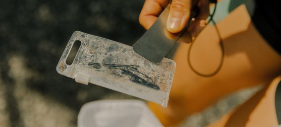 CleanUp Days finden jedes Jahr statt - gemeinsam mit Plasticfree Peaks unterstützen die Explorer Hotels die Region!