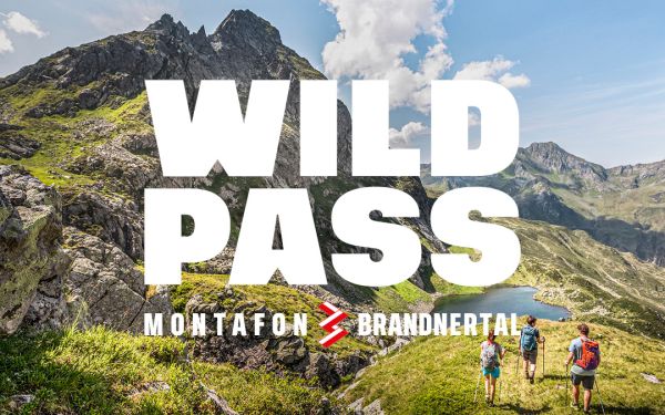 WildPass Vorlagen Social Media4