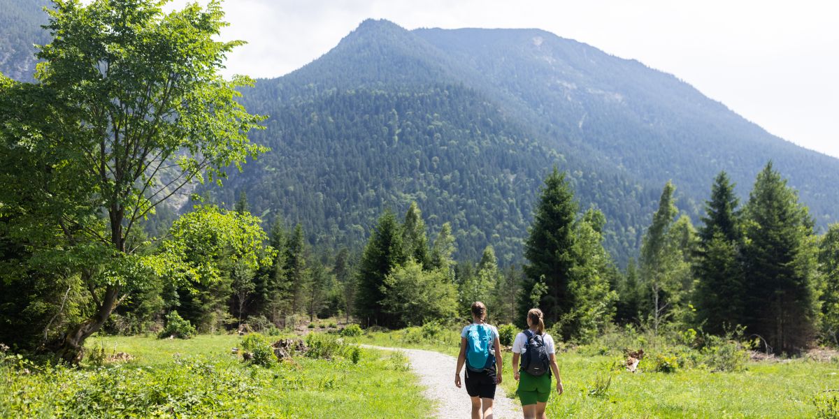 Nach dem vitalem Frühstücksbuffet kannst Du direkt in die Alpen starten! Die Explorer Hotels liegen an den Bergen, somit kannst Du gleich mit dem Wandern loslegen.