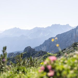 Im Sommerurlaub in den Alpen kannst Du die Natur genießen: Wandern, Biken, Klettern, alles ist möglich! Die Berge sind Dein Abenteuerspielplatz!