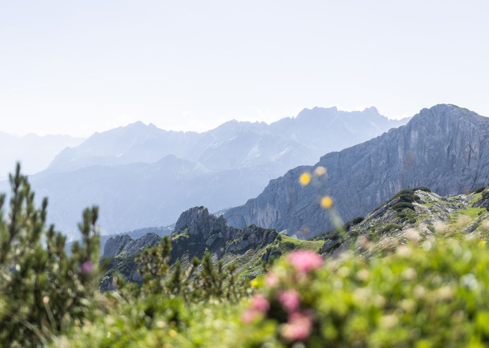 Durante una vacanza estiva sulle Alpi, potrete godervi la natura: escursioni, mountain bike, arrampicata: tutto è possibile! Le montagne sono il vostro parco giochi d'avventura!