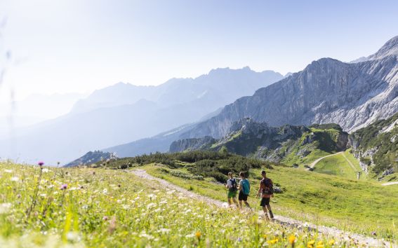 Sommerurlaub in den Alpen: Genieße eine schöne Zeit beim Wandern in den Bergen!