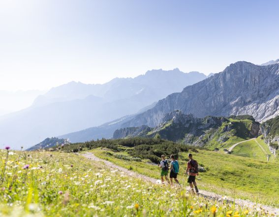 Sommerurlaub in den Alpen: Genieße eine schöne Zeit beim Wandern in den Bergen!