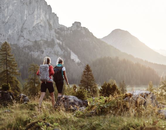 PyhrnPrielHikingWurzeralmWiese PyhrnPrielTourismusGmbHStefanMayerhofer