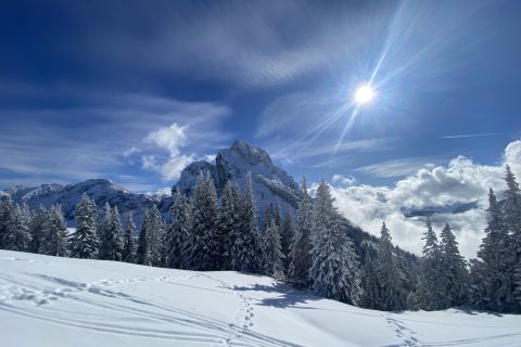 verschneiter Breitenberg bei strahlendem Sonnenschein