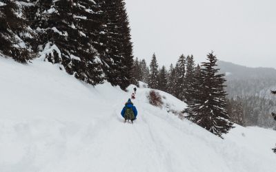 Rodeln in Pfronten Kappel