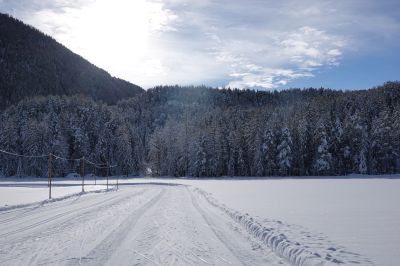 Traumhafte Bedingungen in der Loipe in Niederthai