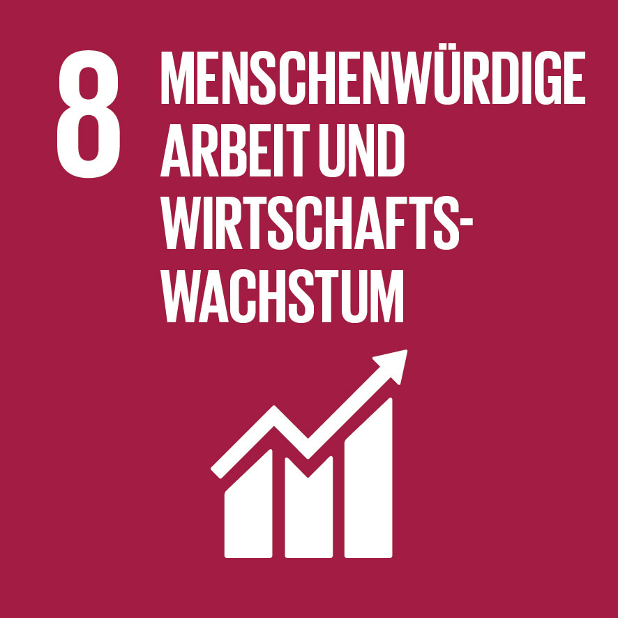 Menschenwürdige Arbeit und Wirtschaftswachstum SDG8