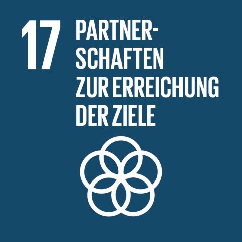 Partnerschaften zur Erreichung der Ziele - SDG17